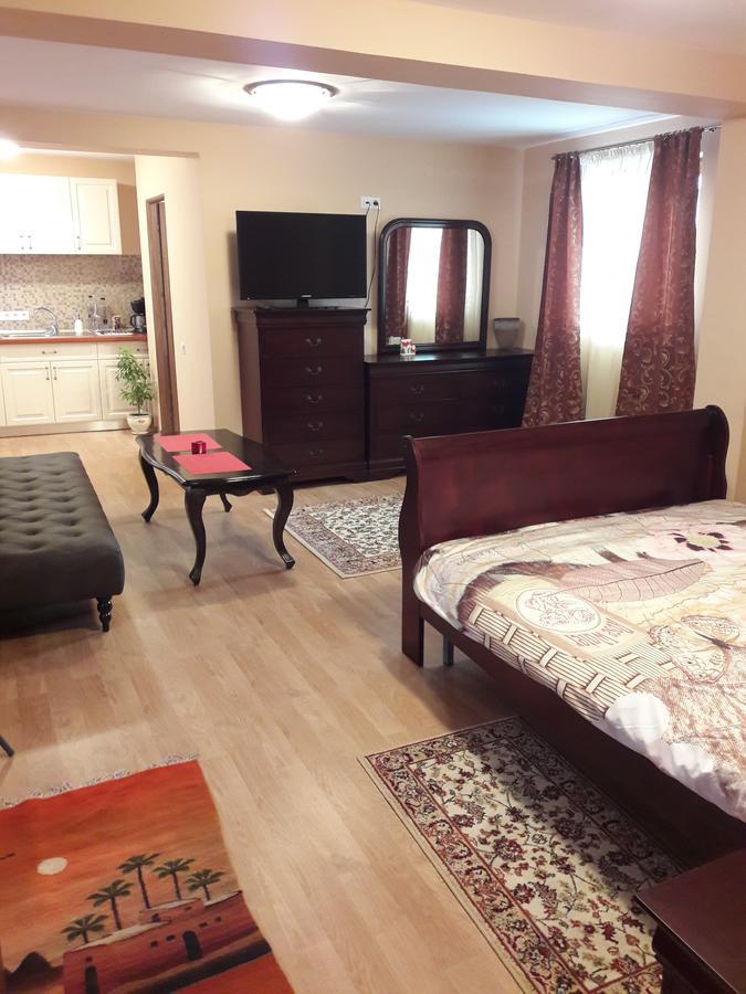 Bogdan'S Apartment Сибиу Экстерьер фото